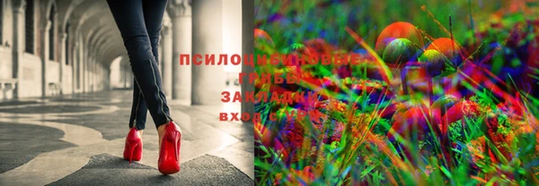 ALPHA PVP Ельня