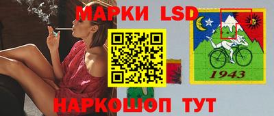 МДПВ Гудермес