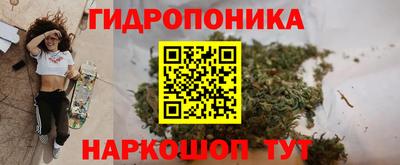 амф Гуково