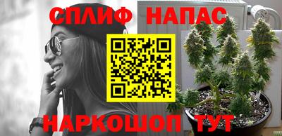 МДПВ Гудермес
