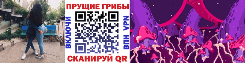 blacksprut как зайти  Карасук  Псилоцибиновые грибы мухоморы  закладки 
