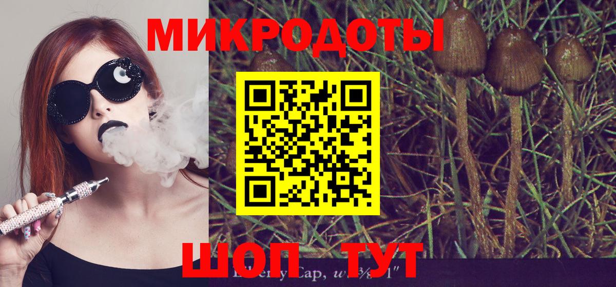 Галлюциногенные грибы прущие грибы  Галлюциногенные грибы Psilocybe  Вход с VPN  как найти закладки  Карасук 