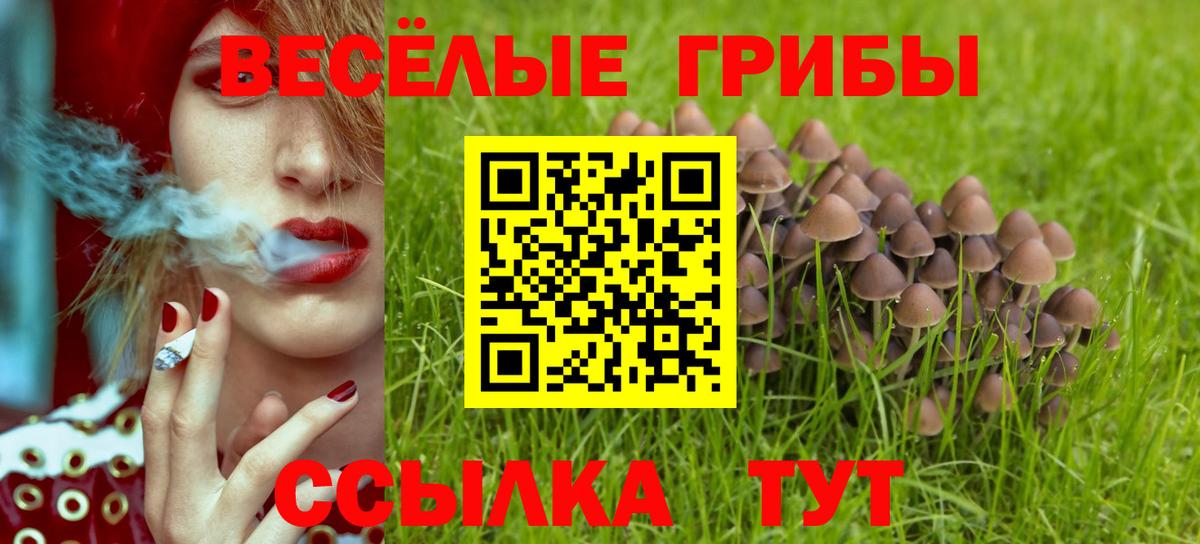Псилоцибиновые грибы GOLDEN TEACHER Карасук
